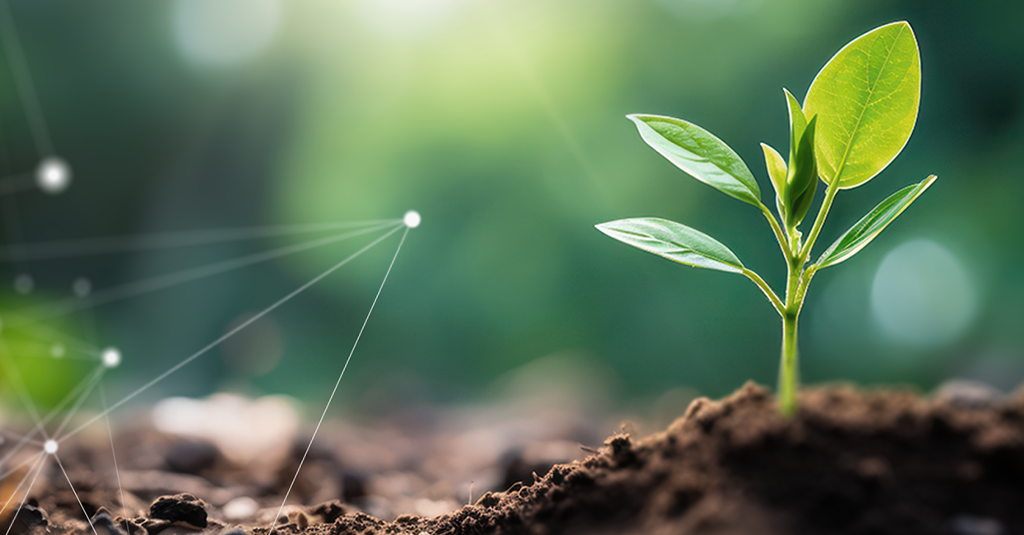 What are Growth Shares?